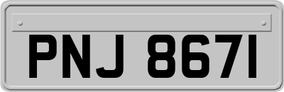 PNJ8671