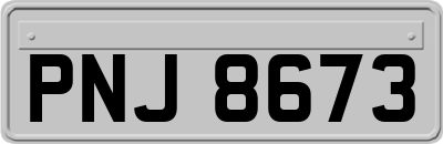 PNJ8673