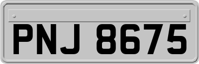 PNJ8675