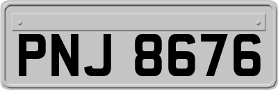 PNJ8676