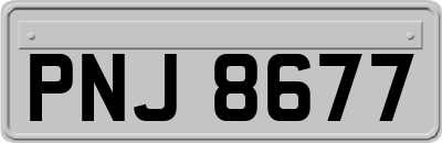 PNJ8677