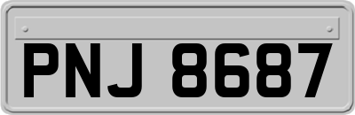 PNJ8687