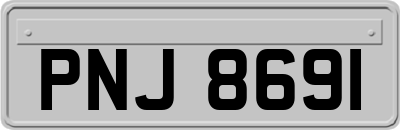 PNJ8691