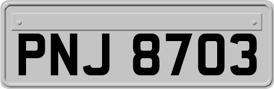PNJ8703