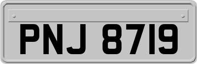 PNJ8719