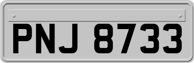PNJ8733