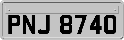 PNJ8740