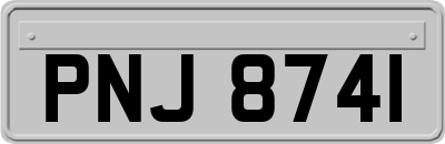 PNJ8741