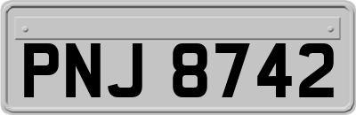 PNJ8742
