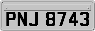 PNJ8743