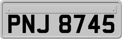 PNJ8745