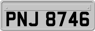 PNJ8746