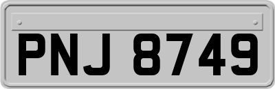 PNJ8749