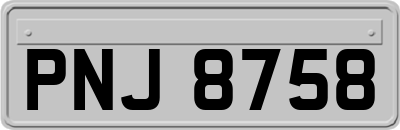 PNJ8758