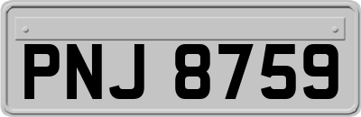PNJ8759