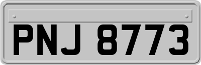 PNJ8773