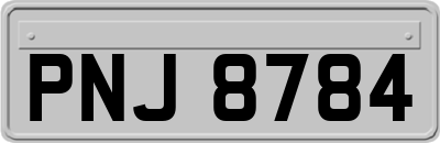 PNJ8784