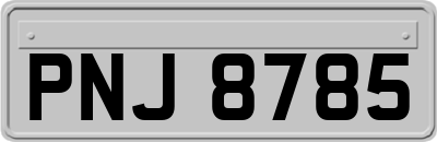 PNJ8785