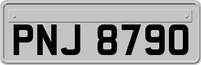 PNJ8790