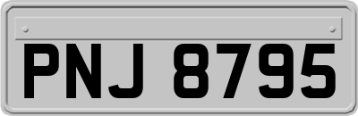 PNJ8795