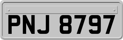PNJ8797