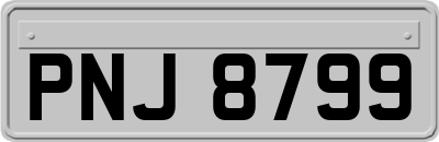 PNJ8799