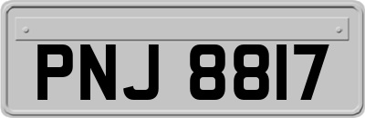 PNJ8817