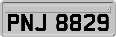 PNJ8829