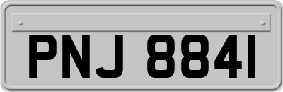 PNJ8841