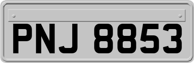 PNJ8853