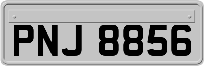 PNJ8856