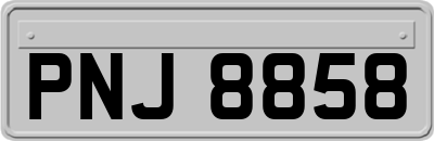 PNJ8858