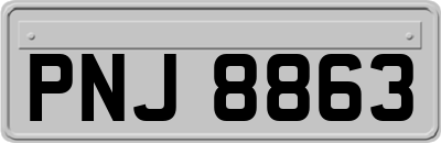 PNJ8863