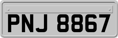 PNJ8867