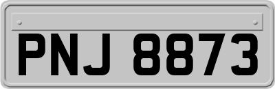 PNJ8873