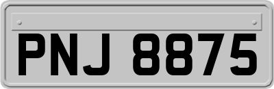 PNJ8875