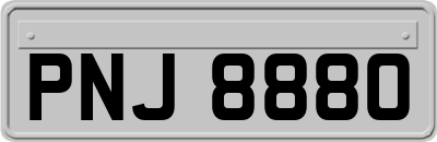 PNJ8880