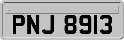 PNJ8913
