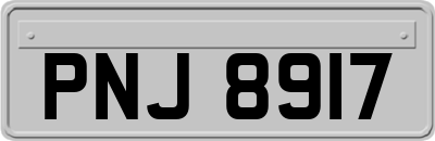 PNJ8917