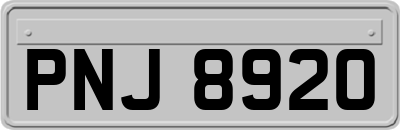 PNJ8920