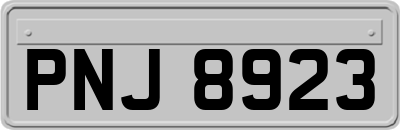 PNJ8923