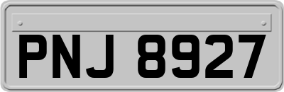 PNJ8927