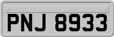 PNJ8933