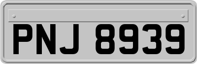 PNJ8939