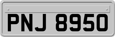PNJ8950