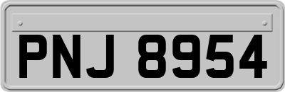 PNJ8954