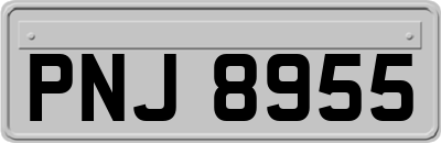 PNJ8955