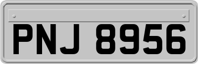 PNJ8956