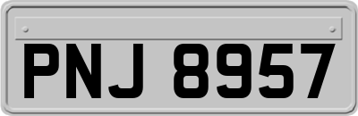 PNJ8957