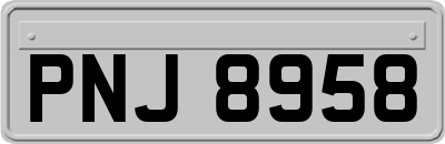 PNJ8958